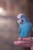 _DSC7446@0,25x.jpg