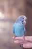 _DSC7458@0,25x.jpg