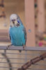 _DSC7569@0,25x.jpg