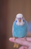 _DSC7503@0,33x.jpg