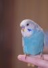 _DSC7506@0,33x.jpg