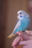 _DSC7513@0,25x.jpg