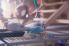 _DSC7600@0,25x.jpg
