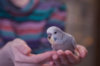 _DSC7530@0,25x.jpg