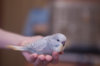 _DSC7538@0,25x.jpg