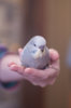_DSC7551@0,25x.jpg