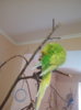 P71002-101527.jpg