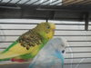 DSCN0175.JPG