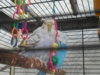 DSCN0178.JPG