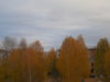 DSCN0173.JPG
