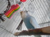 DSCN0051.JPG