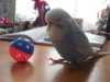 DSCN8403.JPG