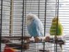 DSCN8583.JPG