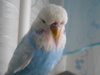 DSCN9251.JPG