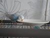 DSCN9839.JPG