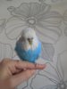 DSCN0199.JPG