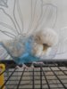 DSCN0198.JPG
