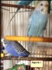 2017-10-04_165305.jpg
