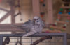 _DSC7675@0,25x.jpg