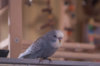_DSC7659@0,25x.jpg