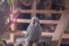_DSC7711@0,25x.jpg