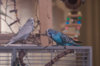 _DSC7784@0,25x.jpg