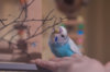 _DSC7787@0,25x.jpg