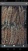 Screenshot_20171007-025643.png