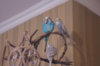 _DSC7850@0,25x.jpg