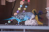 _DSC7937@0,25x.jpg