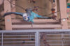 _DSC7817@0,25x.jpg