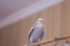 _DSC7839@0,25x.jpg