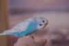 _DSC7862@0,25x.jpg