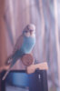 _DSC7898@0,25x.jpg