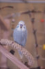_DSC7830@0,25x.jpg