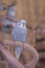 _DSC7879@0,25x.jpg