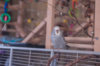 _DSC7869@0,25x.jpg