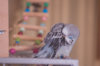 _DSC7921@0,25x.jpg