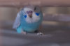 _DSC7896@0,75x.jpg
