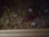 20171009_164335.jpg