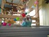 IMG_20171010_165740.jpg