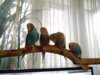 IMG_20171010_165410.jpg
