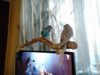 IMG_20171010_165720.jpg