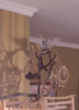 _DSC8016@0,5x.jpg