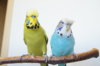 DSC01107.JPG