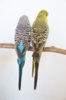 DSC01143.JPG