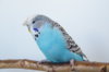 DSC01166.JPG