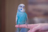 _DSC8088@0,33x.jpg