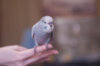 _DSC8068@0,25x.jpg