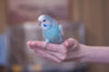 _DSC8110@0,25x.jpg